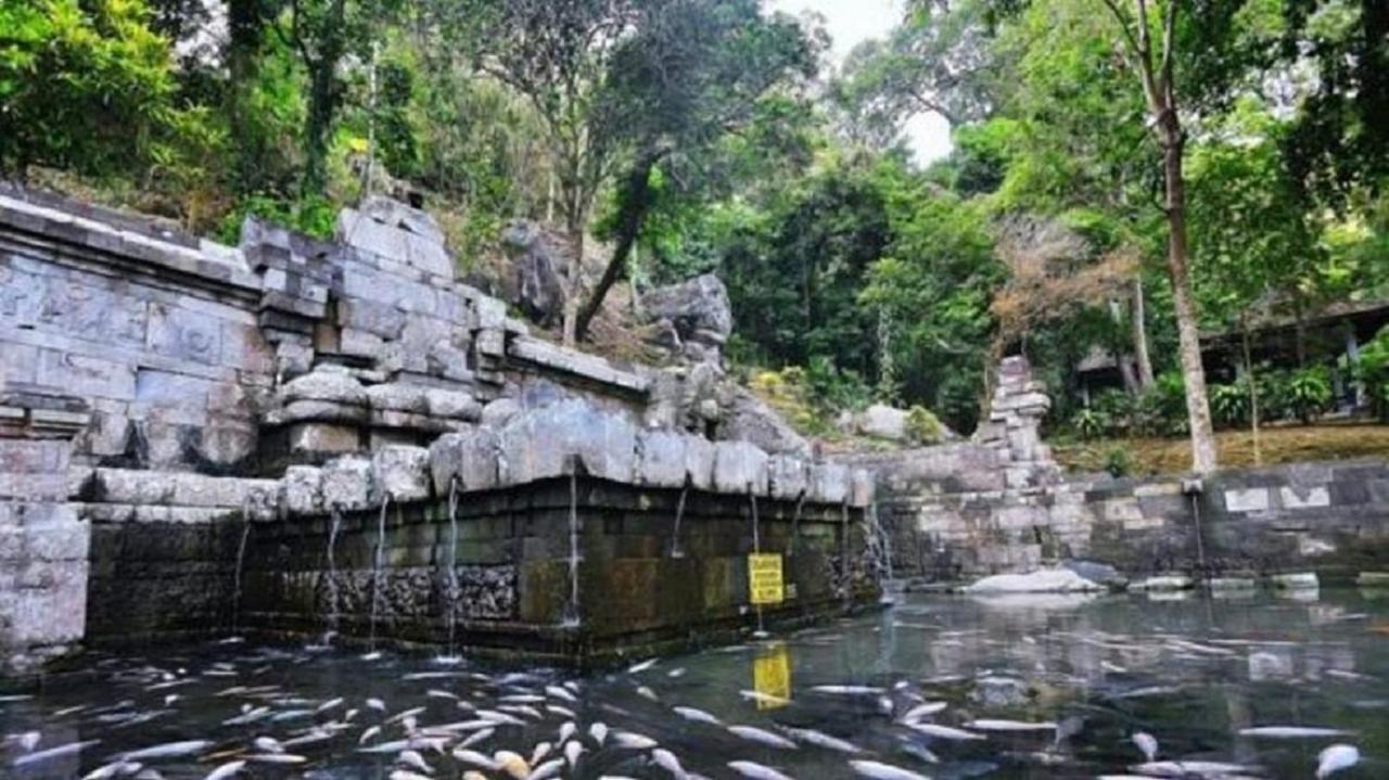 Vila Welirang Forest Pacet Mojokerto Exteriér fotografie